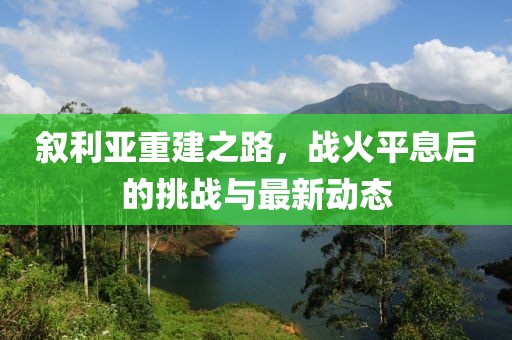 叙利亚重建之路，战火平息后的挑战与最新动态