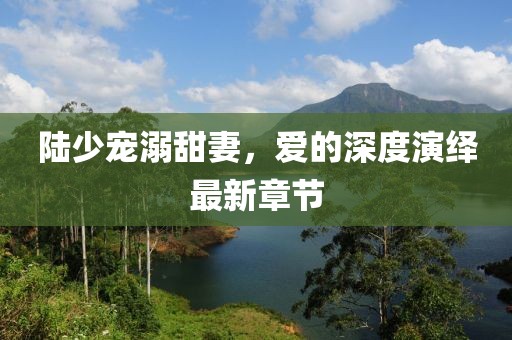 陆少宠溺甜妻，爱的深度演绎最新章节