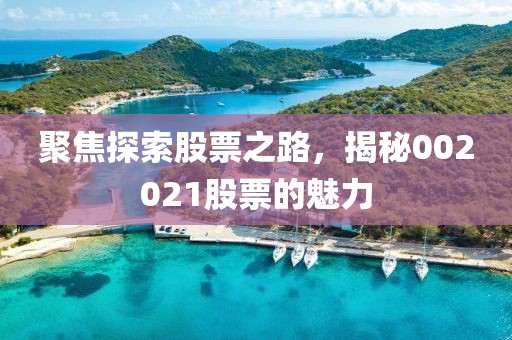 聚焦探索股票之路，揭秘002021股票的魅力