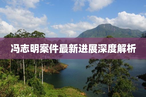 冯志明案件最新进展深度解析