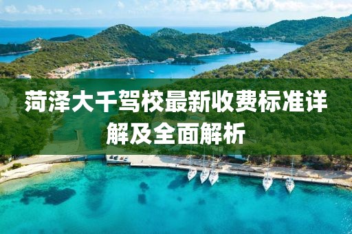 菏泽大千驾校最新收费标准详解及全面解析