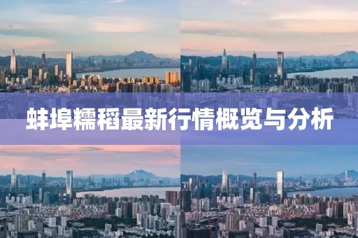 蚌埠糯稻最新行情概览与分析