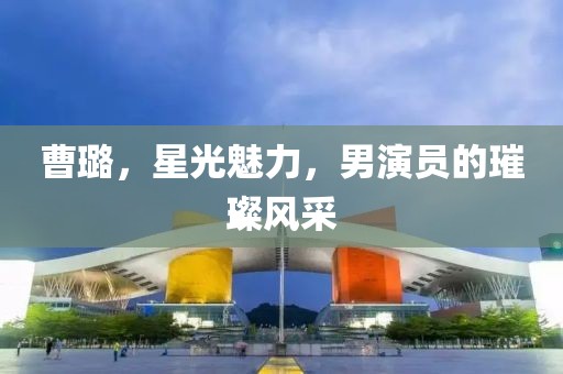 曹璐，星光魅力，男演员的璀璨风采