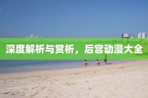 深度解析与赏析，后宫动漫大全