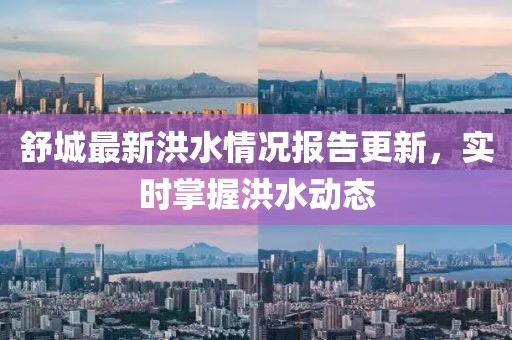 舒城最新洪水情况报告更新，实时掌握洪水动态