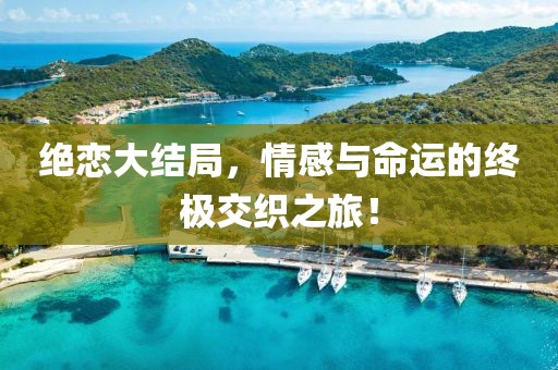 绝恋大结局，情感与命运的终极交织之旅！