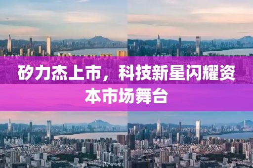 过分着迷 第8页