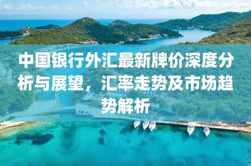 中国银行外汇最新牌价深度分析与展望，汇率走势及市场趋势解析