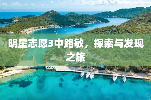 明星志愿3中路敏，探索与发现之旅