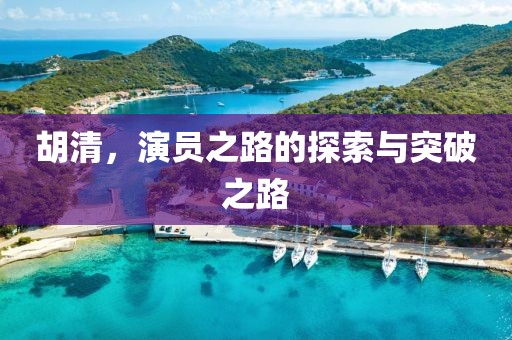 胡清，演员之路的探索与突破之路