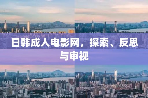 日韩成人电影网，探索、反思与审视