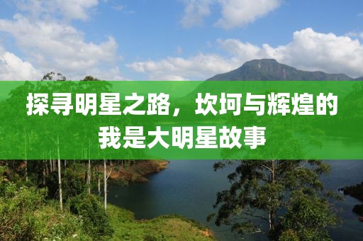 探寻明星之路，坎坷与辉煌的我是大明星故事