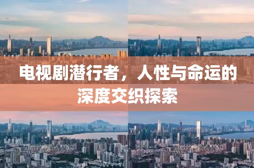 电视剧潜行者，人性与命运的深度交织探索