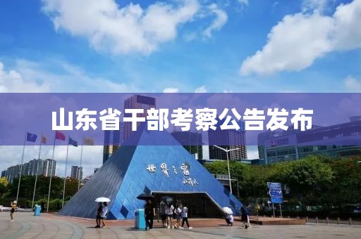 山东省干部考察公告发布