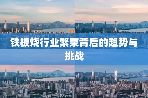 铁板烧行业繁荣背后的趋势与挑战