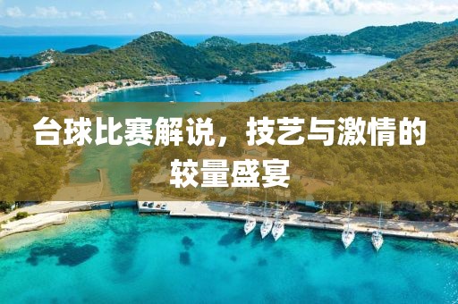 台球比赛解说，技艺与激情的较量盛宴