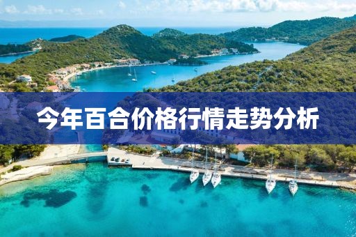 今年百合价格行情走势分析