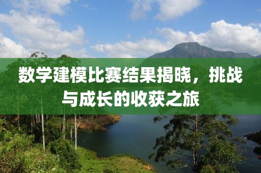 数学建模比赛结果揭晓，挑战与成长的收获之旅