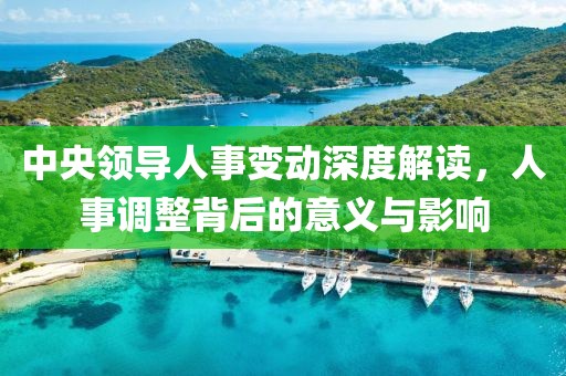中央领导人事变动深度解读，人事调整背后的意义与影响