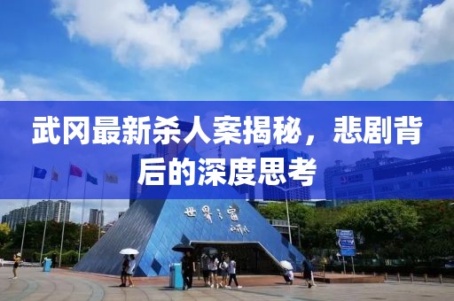 武冈最新杀人案揭秘，悲剧背后的深度思考