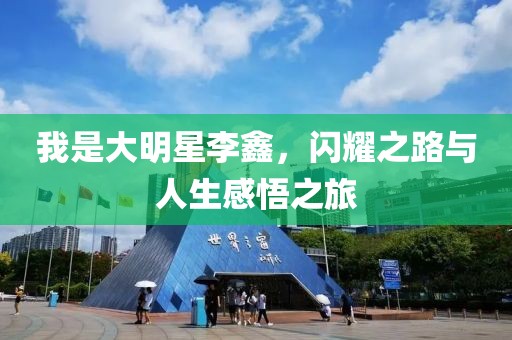 我是大明星李鑫，闪耀之路与人生感悟之旅