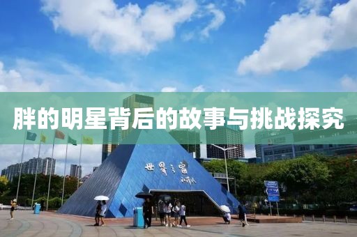 胖的明星背后的故事与挑战探究