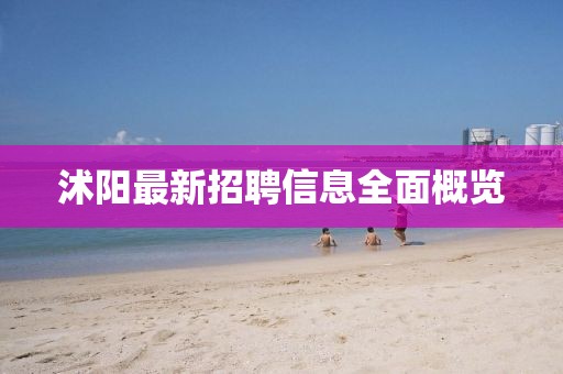 沭阳最新招聘信息全面概览