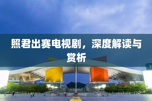 照君出赛电视剧，深度解读与赏析