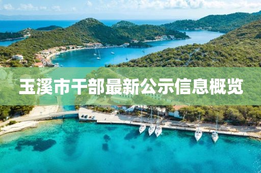 玉溪市干部最新公示信息概览