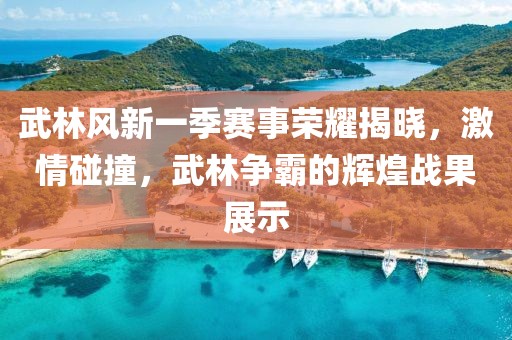 武林风新一季赛事荣耀揭晓，激情碰撞，武林争霸的辉煌战果展示