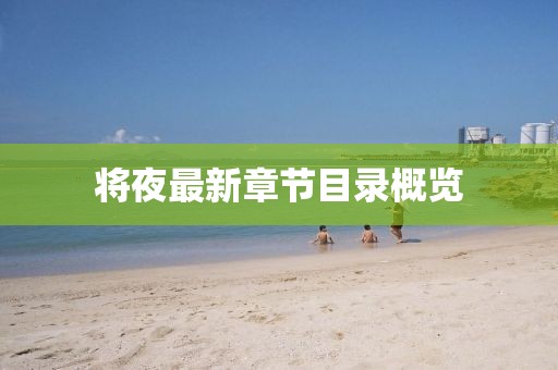 将夜最新章节目录概览