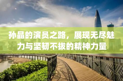 孙晶的演员之路，展现无尽魅力与坚韧不拔的精神力量