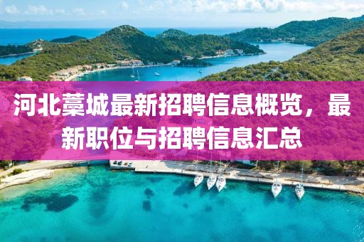 河北藁城最新招聘信息概览，最新职位与招聘信息汇总