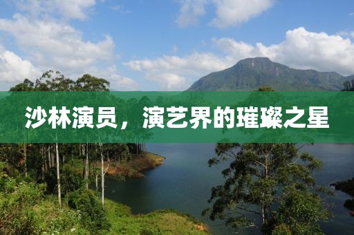 沙林演员，演艺界的璀璨之星