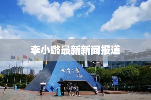 李小璐最新新闻报道