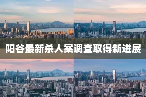 阳谷最新杀人案调查取得新进展