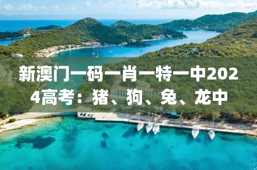 新澳门一码一肖一特一中2024高考：猪、狗、兔、龙中