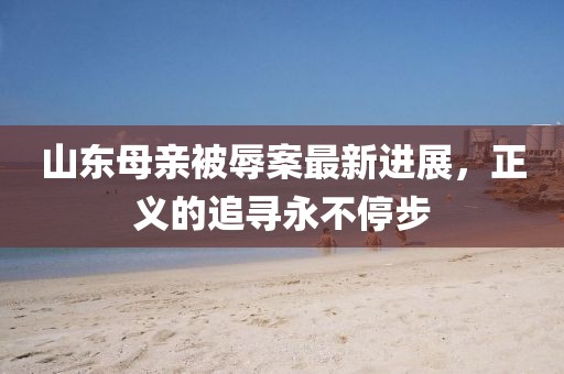 山东母亲被辱案最新进展，正义的追寻永不停步