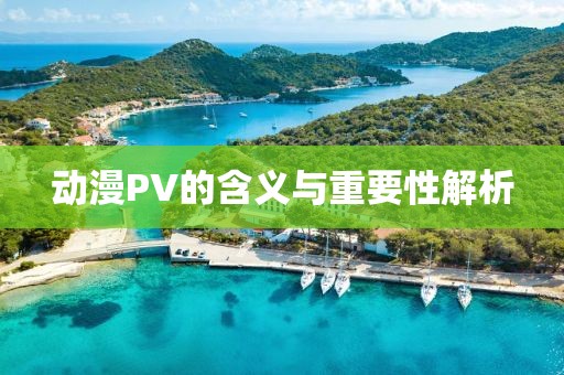 动漫PV的含义与重要性解析