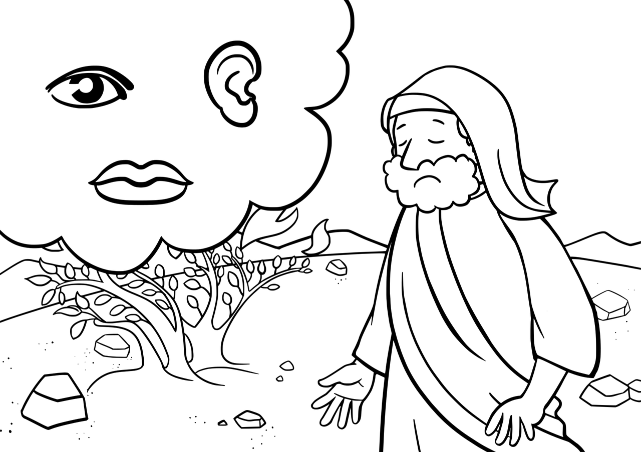 重阳节故事比赛，传承文化，弘扬精神之光