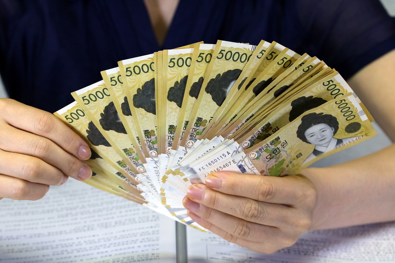 国家股票，投资与价值双重考量解析