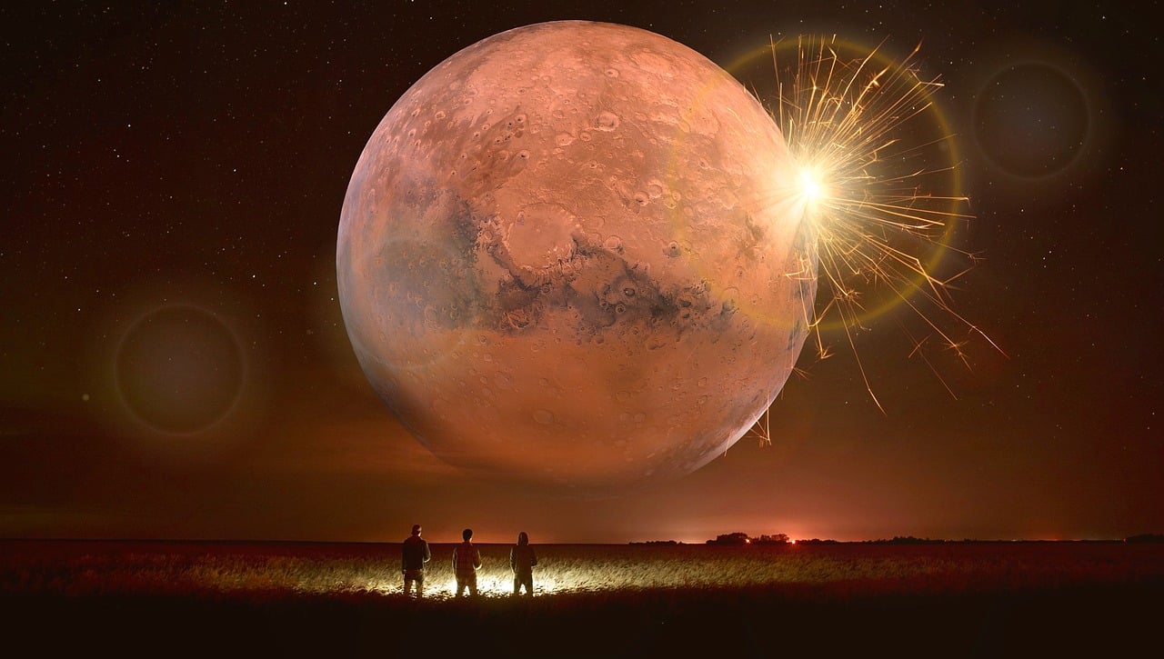 明星浮梦，光环背后的真实故事