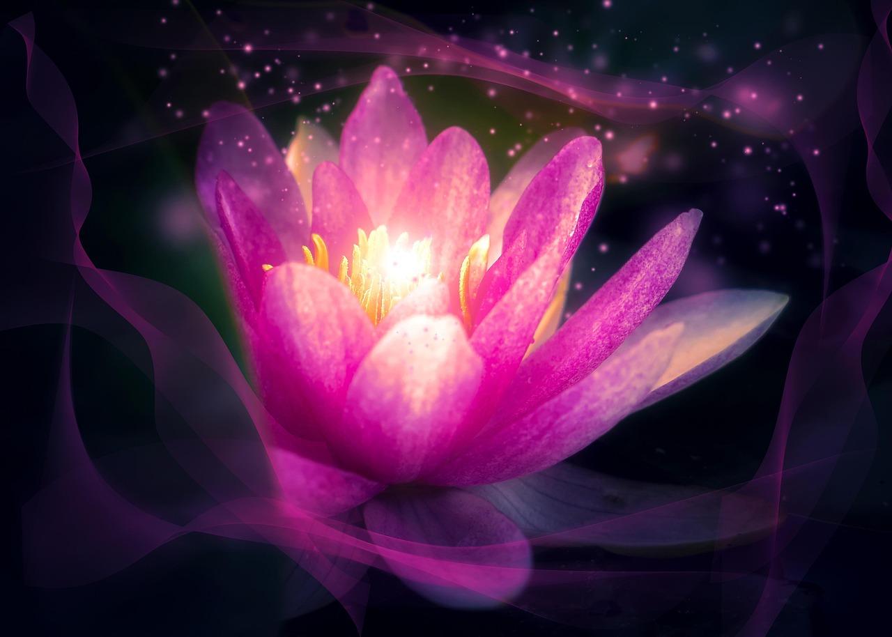 莲花健康最新公告深度解读，揭示公司最新动态与战略方向