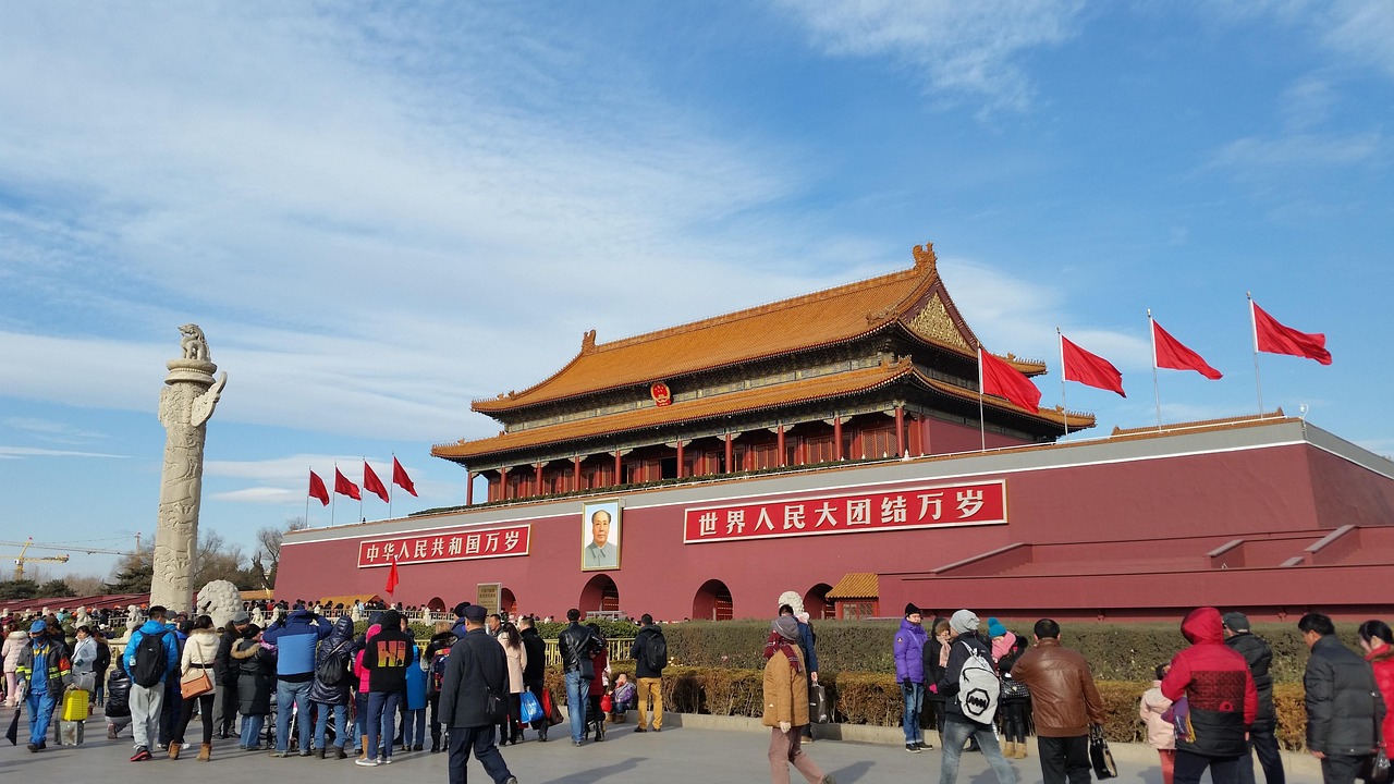 中国女排展现强大实力，引领全球排球热潮——最新女排资讯汇总