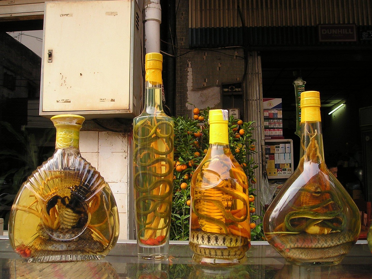云门酱酒53度价格解析，深度探讨与了解