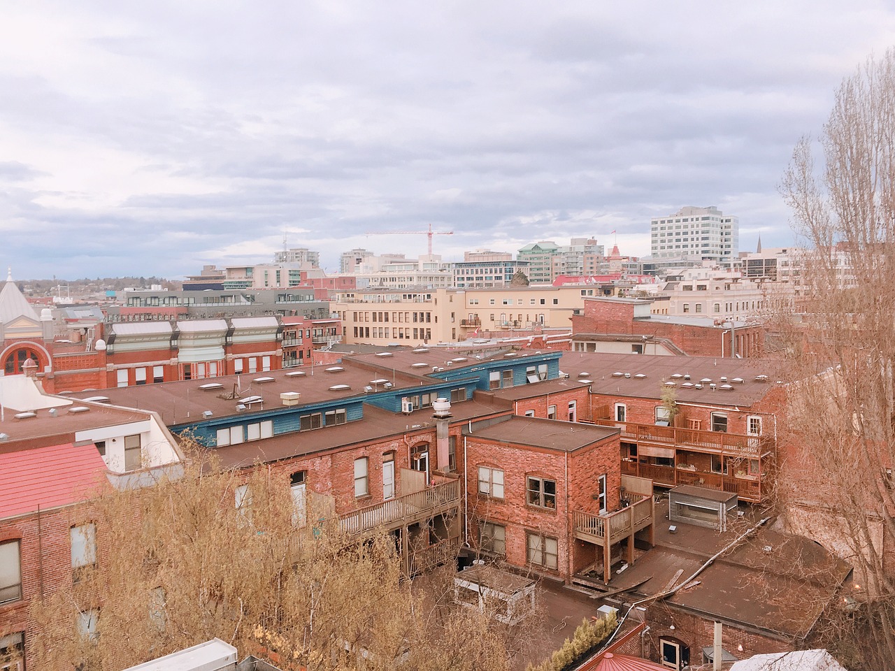 桐庐分水镇最新住宅价格概览，最新住宅价格信息解析