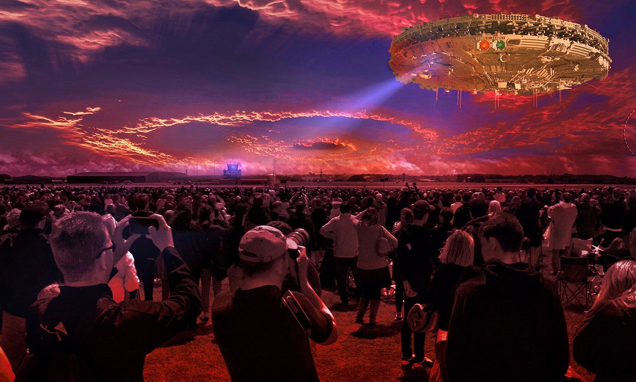 2025年2月 第315页