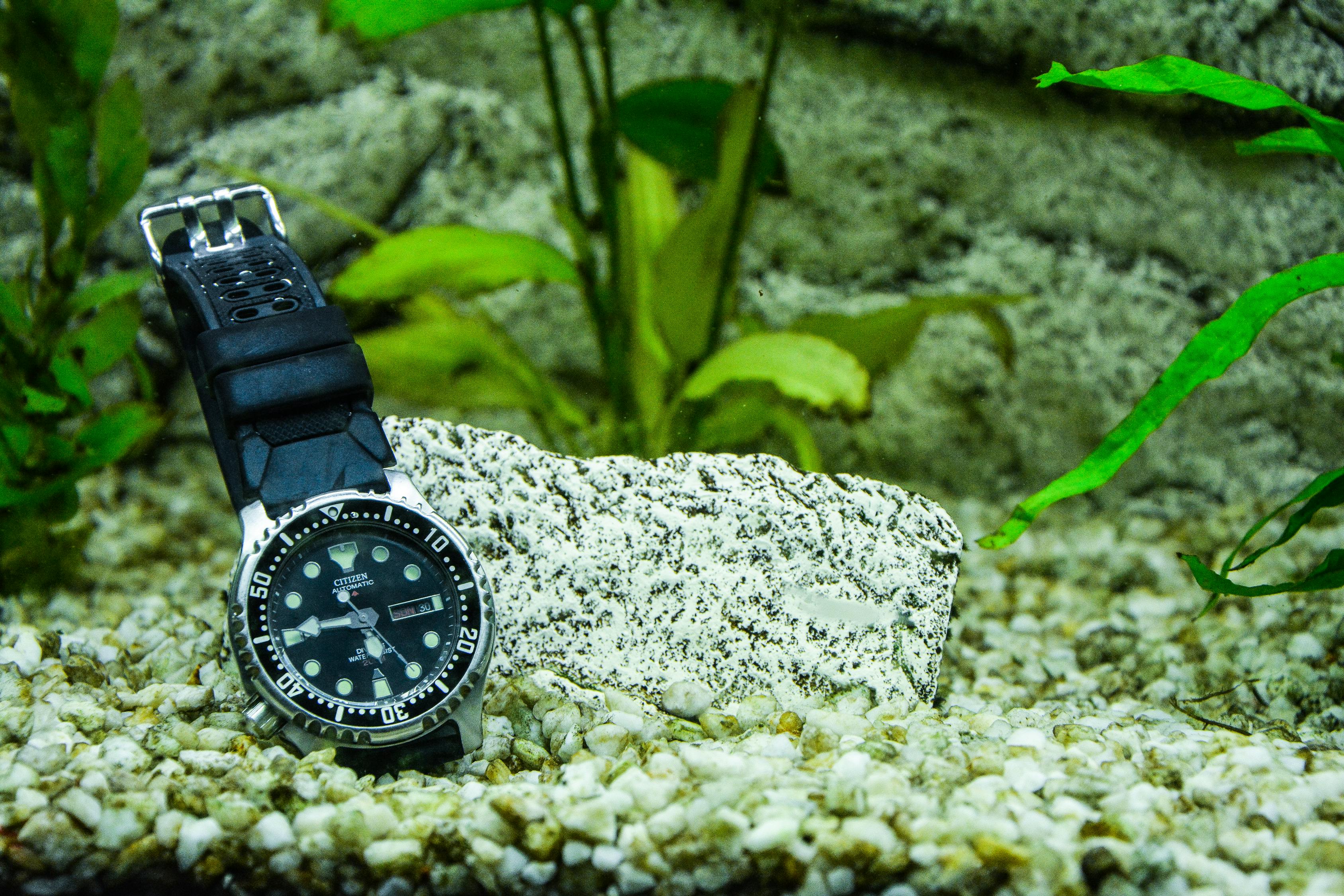 深度解析与影响因素探讨，Rolex手表价格全解析