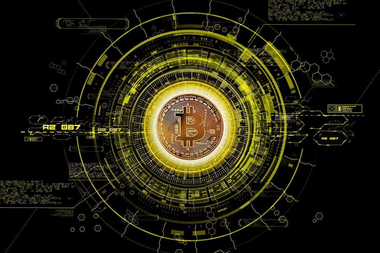AmimiS2最新版发布，全新体验与独特魅力的独特之处