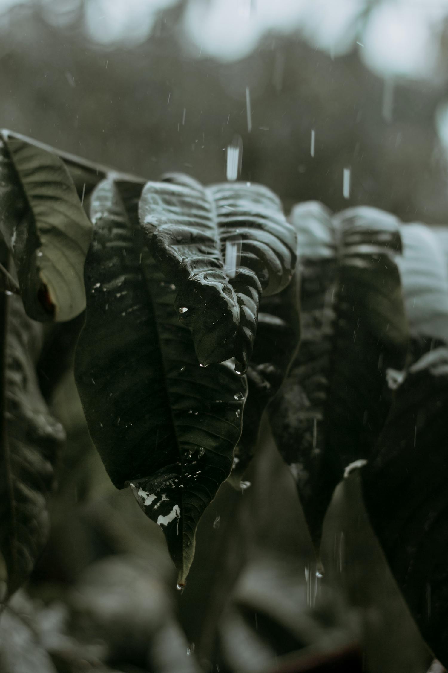东风雨电影，时代变迁与人性的深度探索